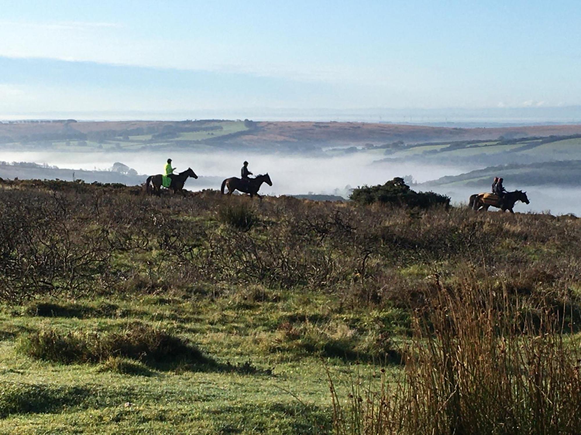 Exmoor Bnb In Withypool On Two Moors Way Екстер'єр фото