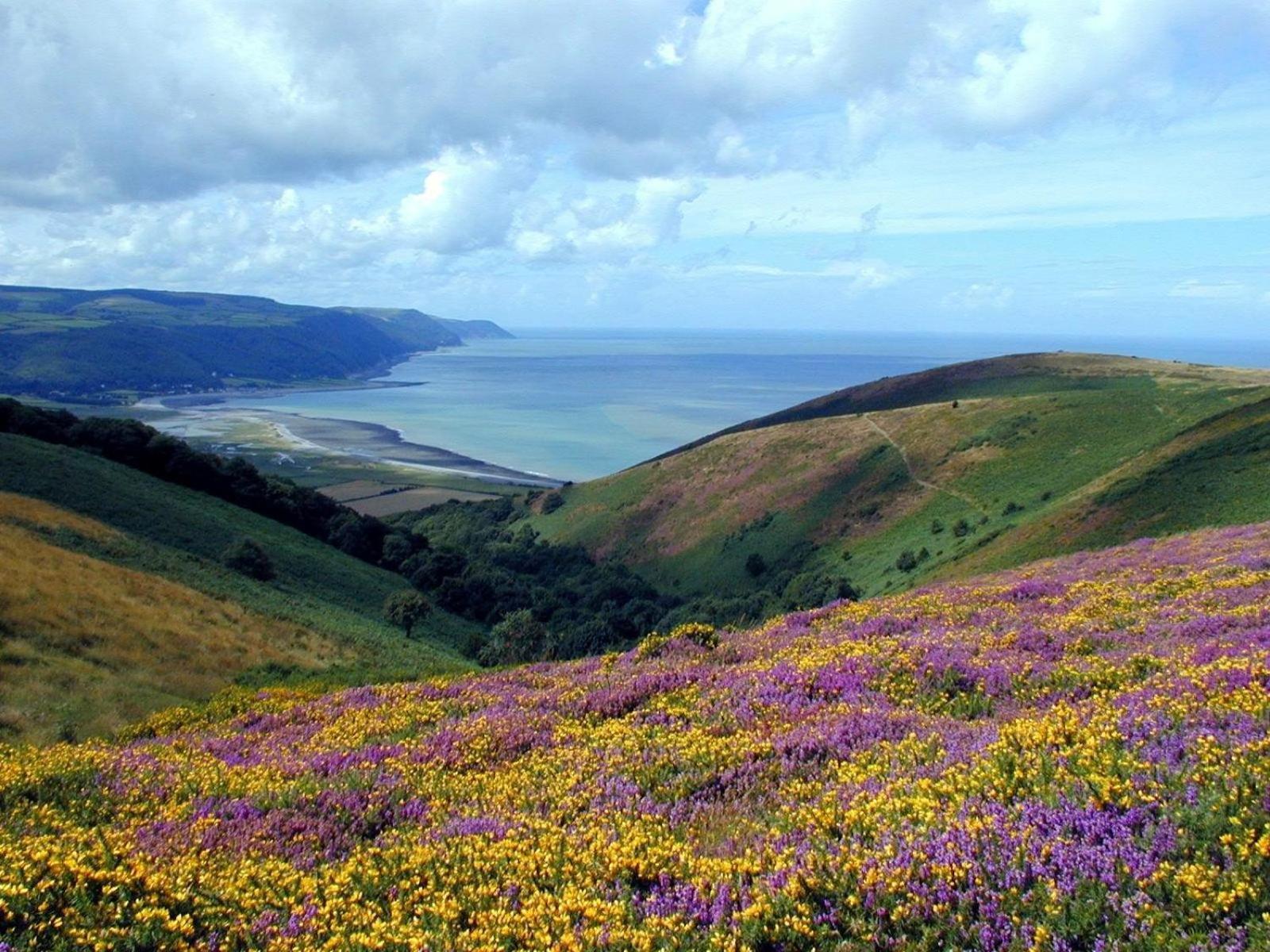 Exmoor Bnb In Withypool On Two Moors Way Екстер'єр фото