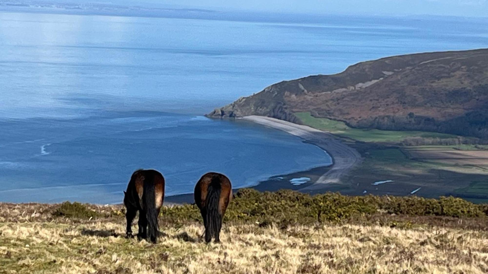 Exmoor Bnb In Withypool On Two Moors Way Екстер'єр фото