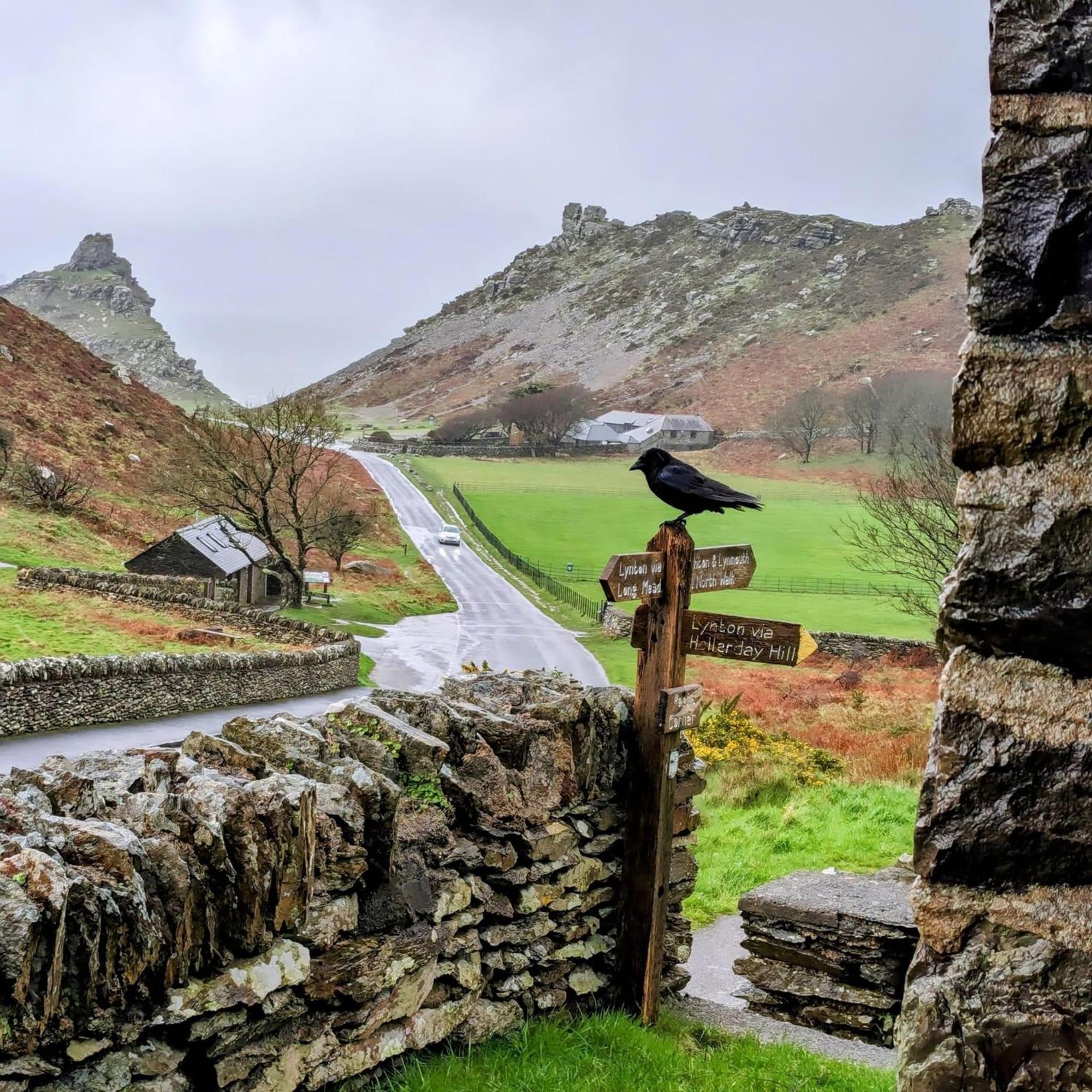 Exmoor Bnb In Withypool On Two Moors Way Екстер'єр фото
